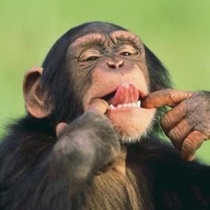 Meet your Posher, Mark